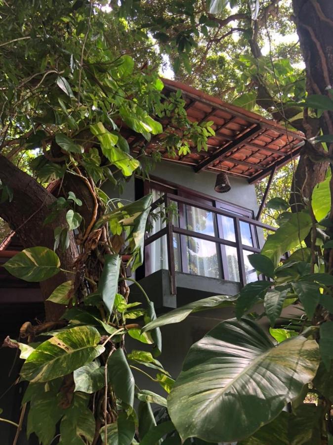 Hotel Kuara Pipa Praia de Pipa Zewnętrze zdjęcie